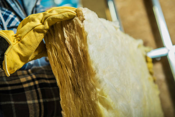 Best Insulation Contractors for Homes  in Grafton, ND