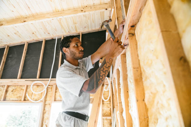 Best Local Insulation Services  in Grafton, ND